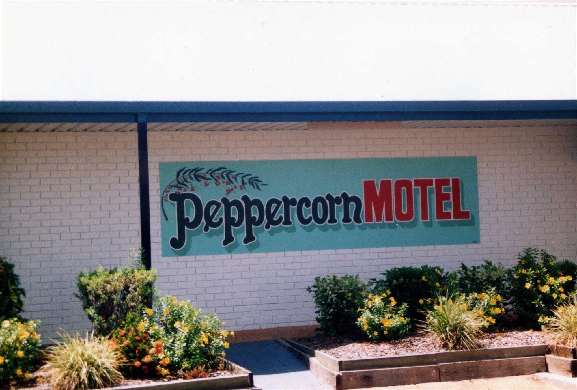 Peppercorn Motel Clermont Bagian luar foto